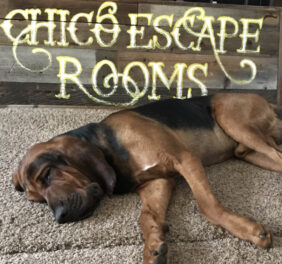 Chico Escape Rooms